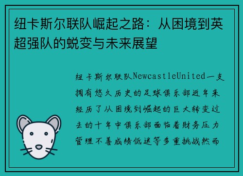 纽卡斯尔联队崛起之路：从困境到英超强队的蜕变与未来展望