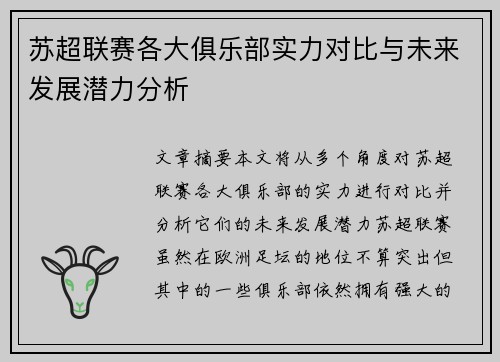 苏超联赛各大俱乐部实力对比与未来发展潜力分析