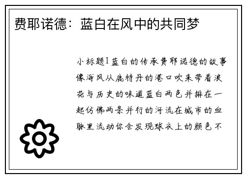 费耶诺德：蓝白在风中的共同梦